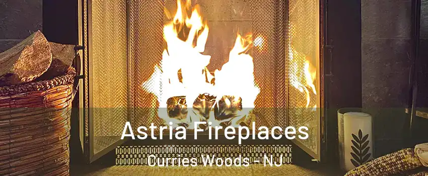 Astria Fireplaces Curries Woods - NJ