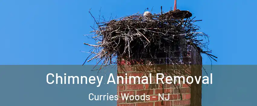 Chimney Animal Removal Curries Woods - NJ