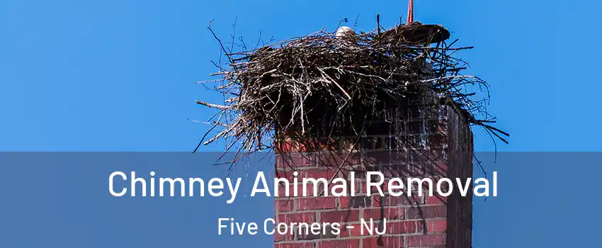 Chimney Animal Removal Five Corners - NJ