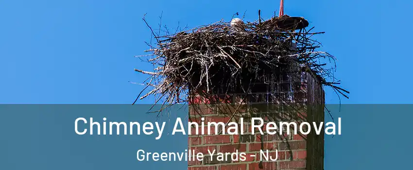 Chimney Animal Removal Greenville Yards - NJ