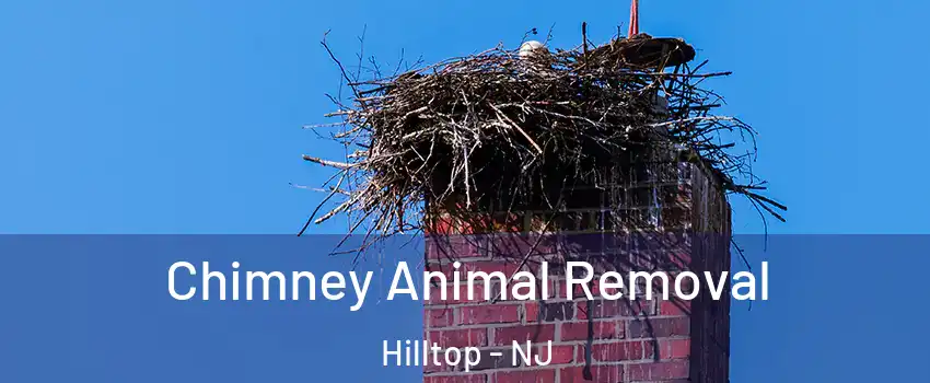 Chimney Animal Removal Hilltop - NJ