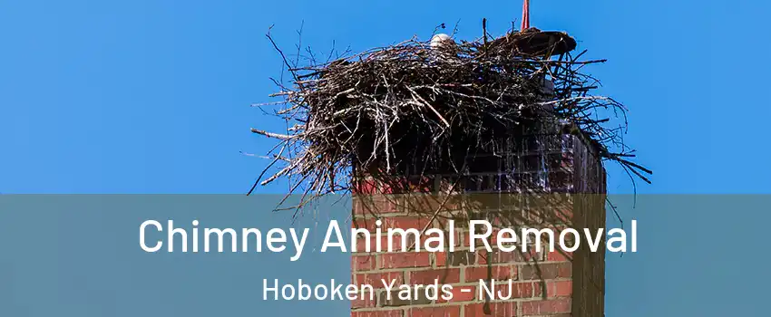 Chimney Animal Removal Hoboken Yards - NJ