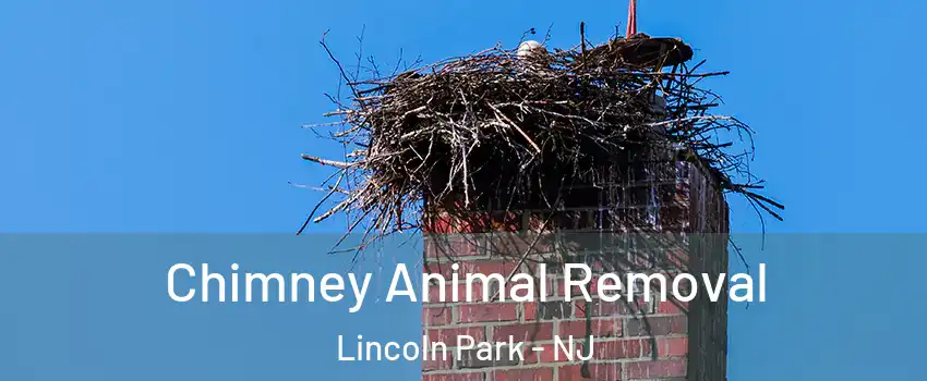 Chimney Animal Removal Lincoln Park - NJ