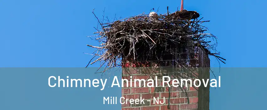 Chimney Animal Removal Mill Creek - NJ