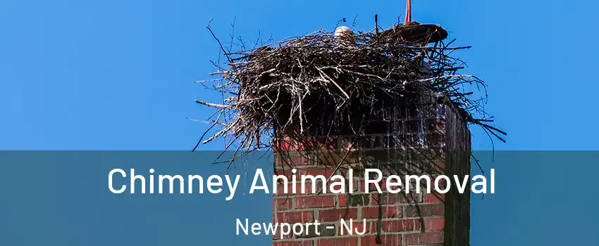 Chimney Animal Removal Newport - NJ