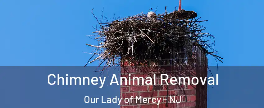 Chimney Animal Removal Our Lady of Mercy - NJ