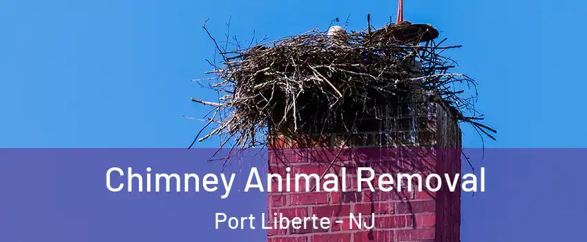 Chimney Animal Removal Port Liberte - NJ