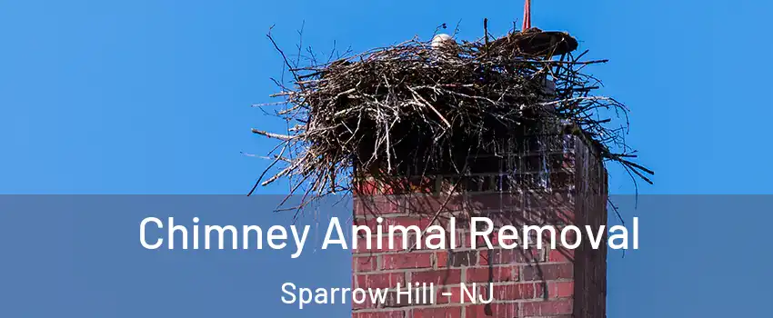 Chimney Animal Removal Sparrow Hill - NJ