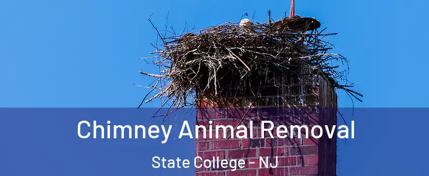 Chimney Animal Removal State College - NJ