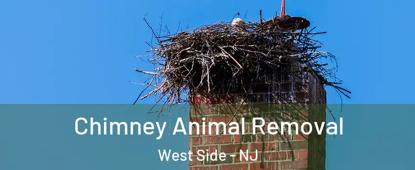 Chimney Animal Removal West Side - NJ