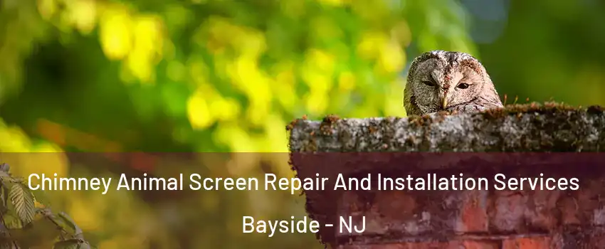 Chimney Animal Screen Repair And Installation Services Bayside - NJ