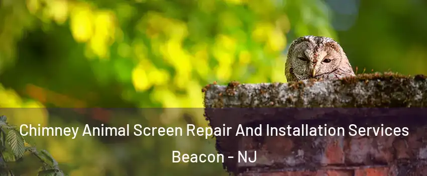 Chimney Animal Screen Repair And Installation Services Beacon - NJ