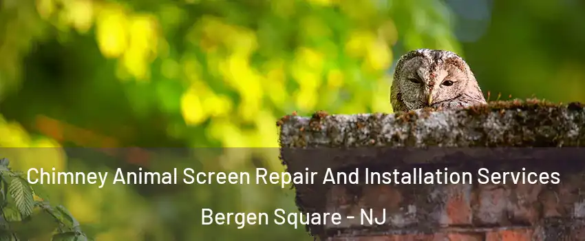 Chimney Animal Screen Repair And Installation Services Bergen Square - NJ