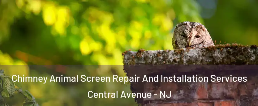 Chimney Animal Screen Repair And Installation Services Central Avenue - NJ