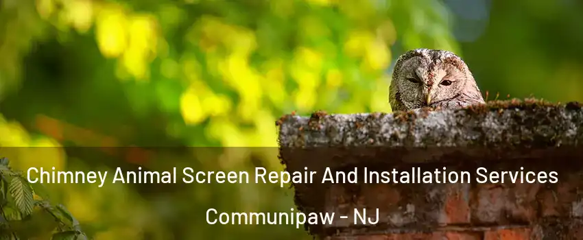 Chimney Animal Screen Repair And Installation Services Communipaw - NJ