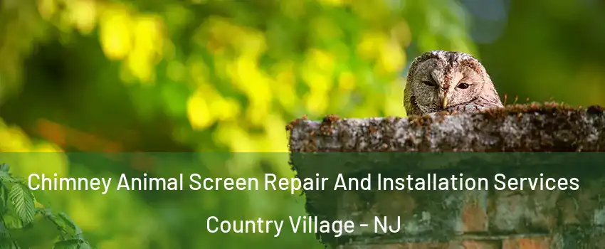 Chimney Animal Screen Repair And Installation Services Country Village - NJ