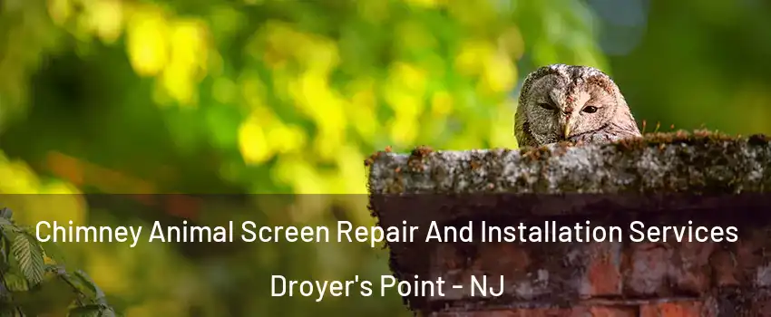 Chimney Animal Screen Repair And Installation Services Droyer's Point - NJ