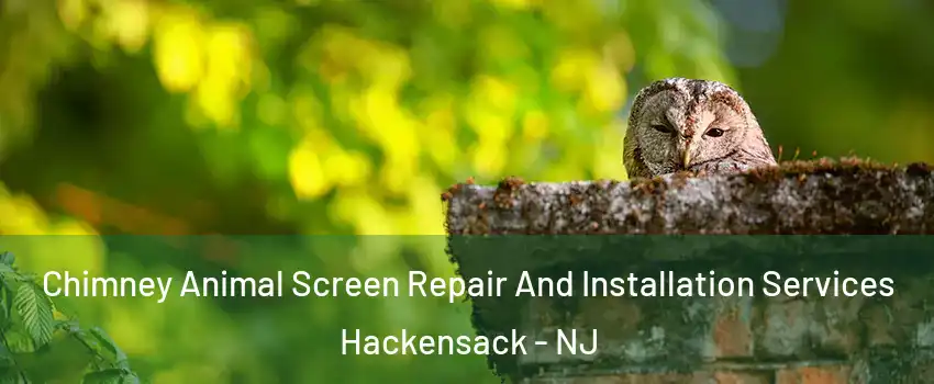 Chimney Animal Screen Repair And Installation Services Hackensack - NJ