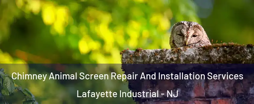 Chimney Animal Screen Repair And Installation Services Lafayette Industrial - NJ