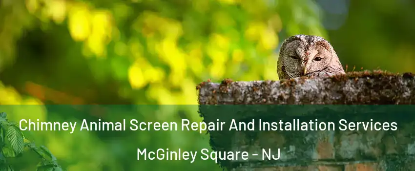 Chimney Animal Screen Repair And Installation Services McGinley Square - NJ