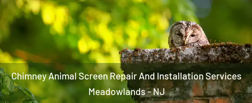 Chimney Animal Screen Repair And Installation Services Meadowlands - NJ