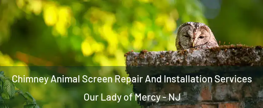 Chimney Animal Screen Repair And Installation Services Our Lady of Mercy - NJ