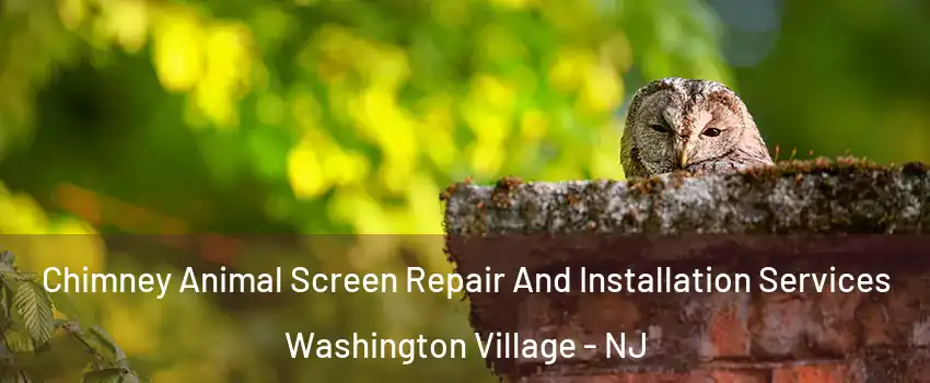 Chimney Animal Screen Repair And Installation Services Washington Village - NJ