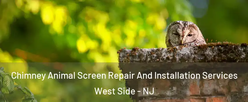 Chimney Animal Screen Repair And Installation Services West Side - NJ