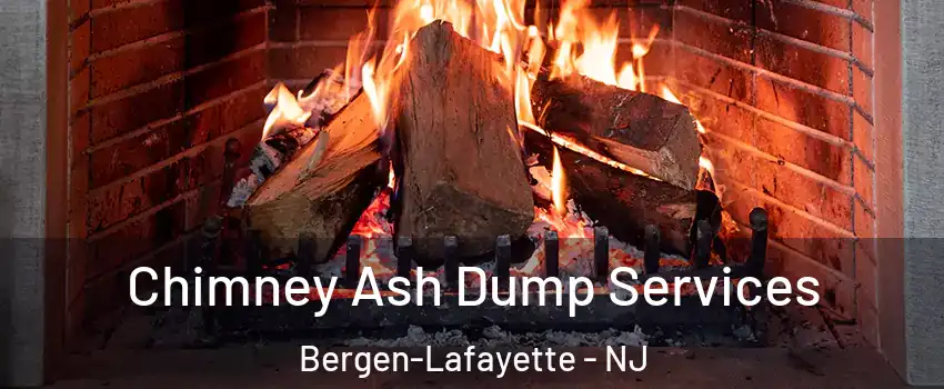 Chimney Ash Dump Services Bergen-Lafayette - NJ