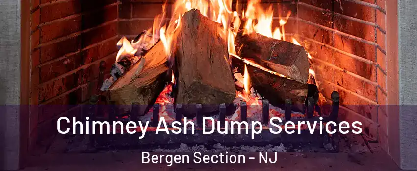 Chimney Ash Dump Services Bergen Section - NJ