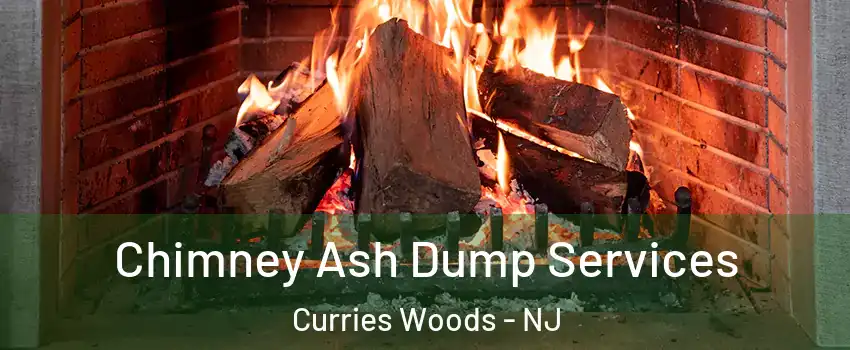 Chimney Ash Dump Services Curries Woods - NJ