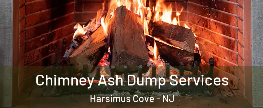 Chimney Ash Dump Services Harsimus Cove - NJ