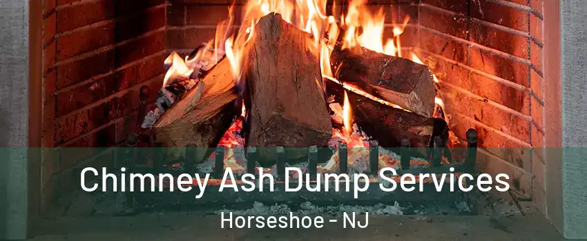 Chimney Ash Dump Services Horseshoe - NJ