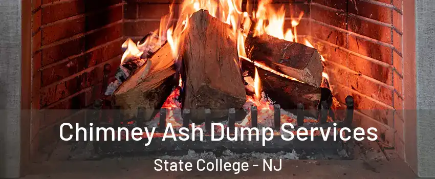 Chimney Ash Dump Services State College - NJ