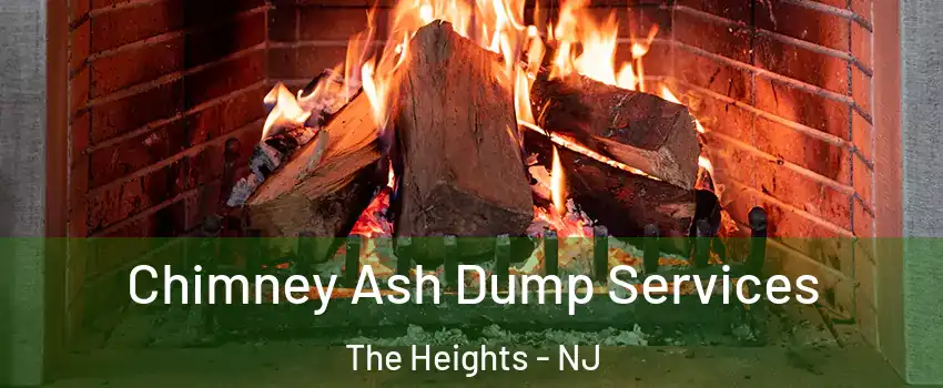 Chimney Ash Dump Services The Heights - NJ