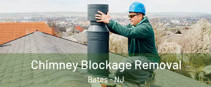 Chimney Blockage Removal Bates - NJ