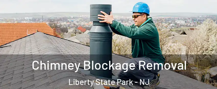 Chimney Blockage Removal Liberty State Park - NJ