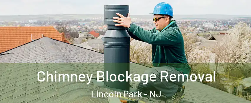 Chimney Blockage Removal Lincoln Park - NJ