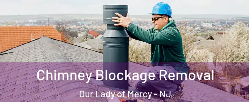 Chimney Blockage Removal Our Lady of Mercy - NJ