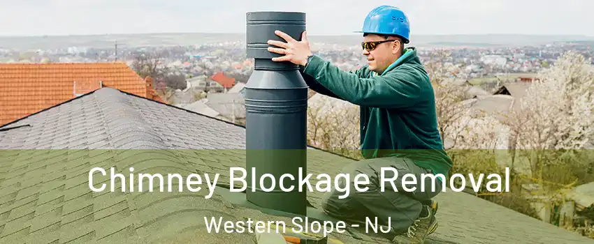 Chimney Blockage Removal Western Slope - NJ