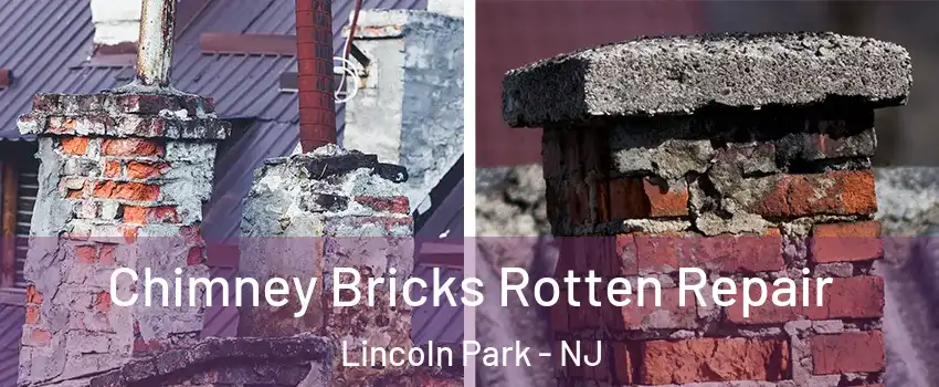 Chimney Bricks Rotten Repair Lincoln Park - NJ