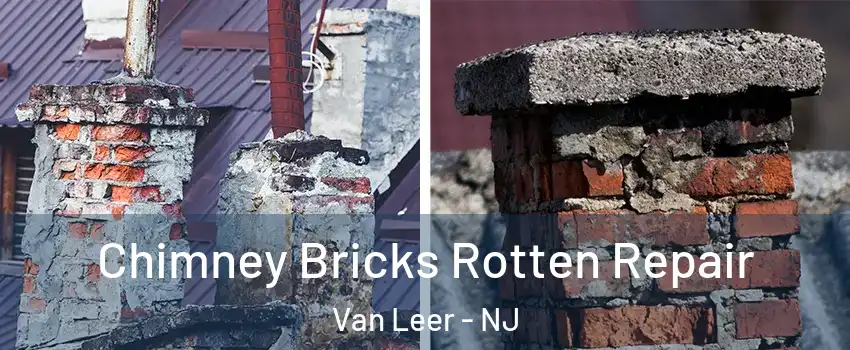 Chimney Bricks Rotten Repair Van Leer - NJ