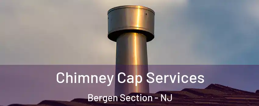 Chimney Cap Services Bergen Section - NJ