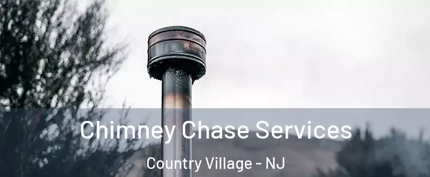 Chimney Chase Services Country Village - NJ