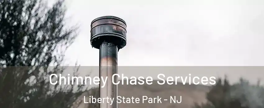 Chimney Chase Services Liberty State Park - NJ