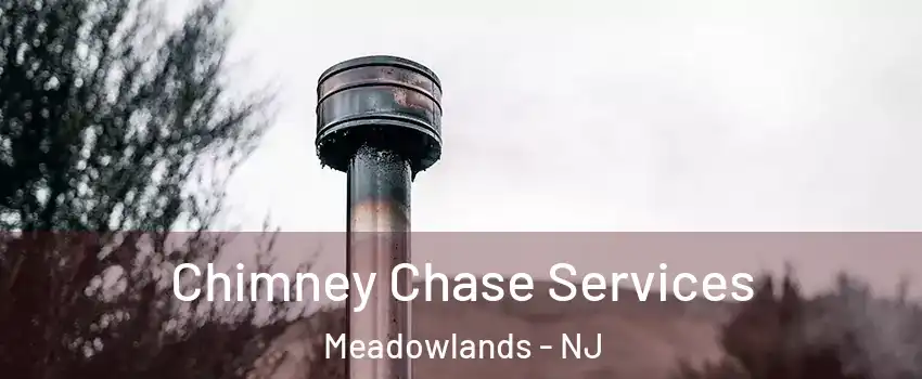 Chimney Chase Services Meadowlands - NJ