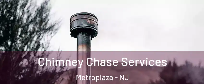 Chimney Chase Services Metroplaza - NJ