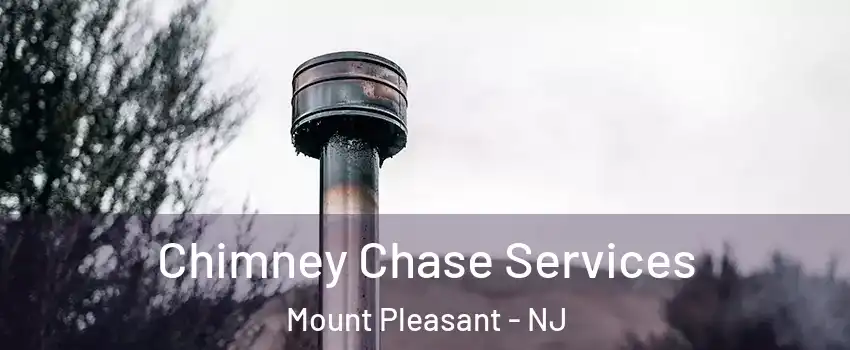 Chimney Chase Services Mount Pleasant - NJ