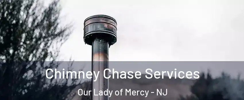 Chimney Chase Services Our Lady of Mercy - NJ