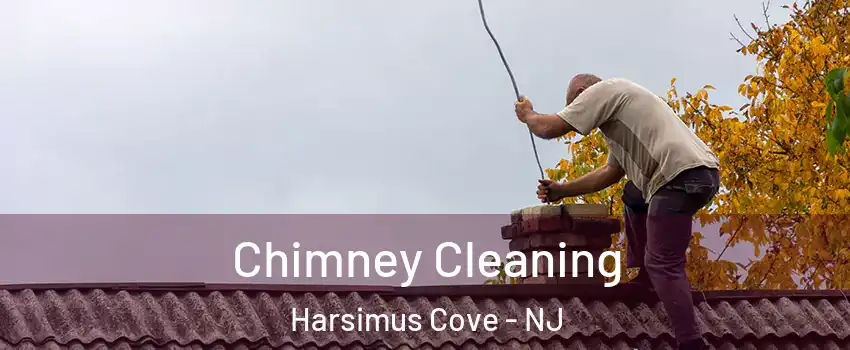 Chimney Cleaning Harsimus Cove - NJ